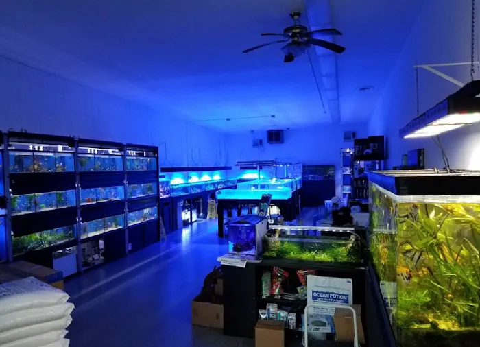 Clear Water Aquarium 9
