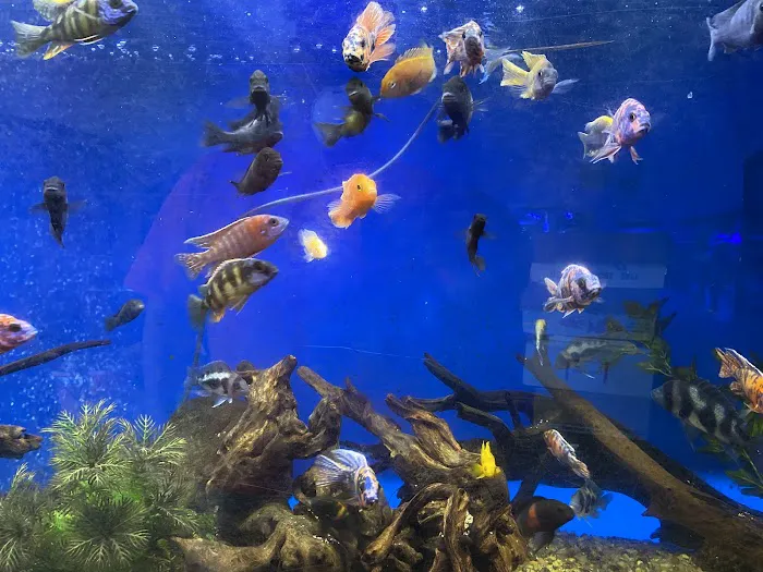 Clear Water Aquarium 5