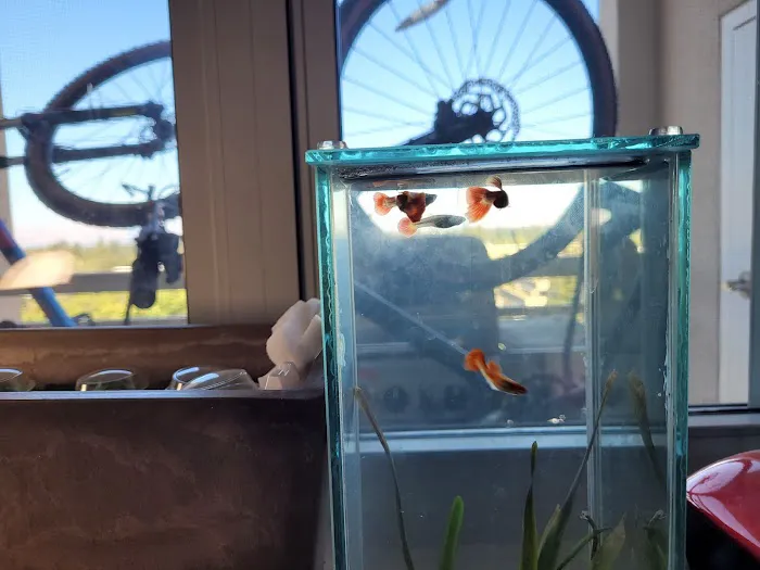 Clear Water Aquarium 8
