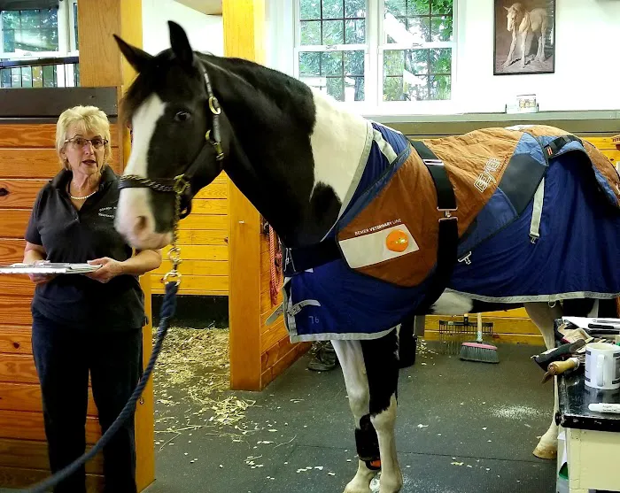 Always Helpful Veterinary Services 12