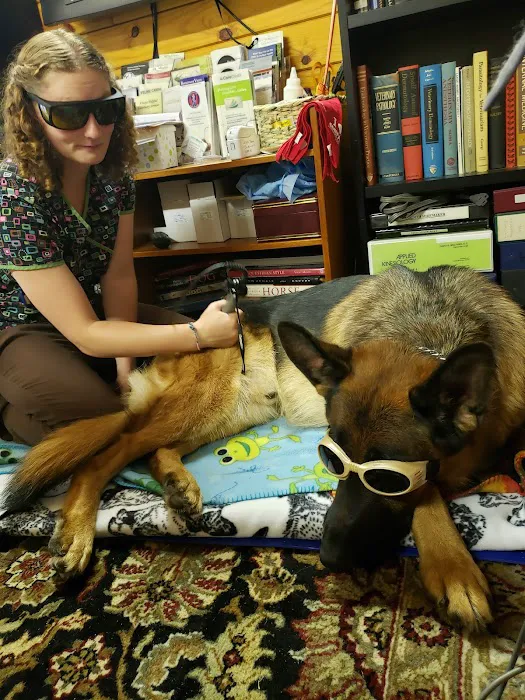 Always Helpful Veterinary Services 12