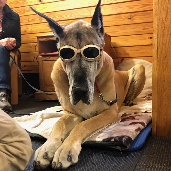 Always Helpful Veterinary Services 12