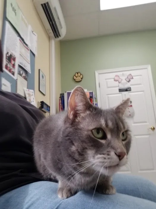 Pet Wellness Center 12