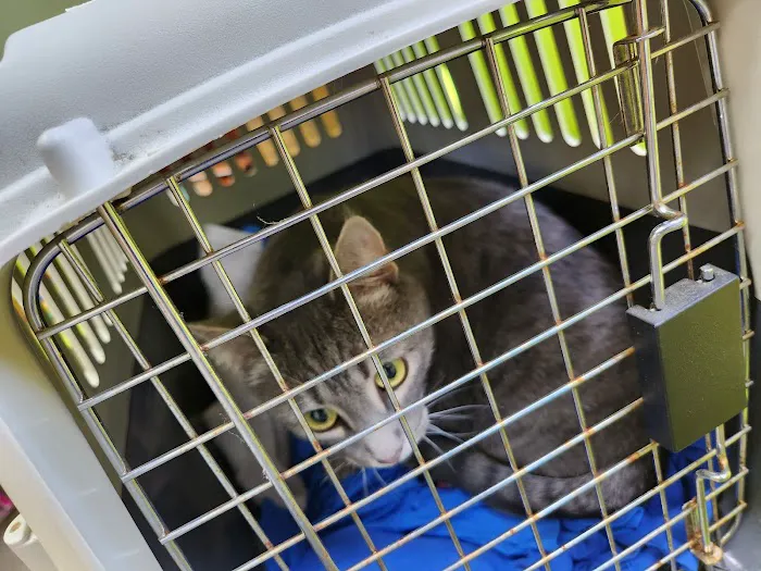 Pet Wellness Center 12