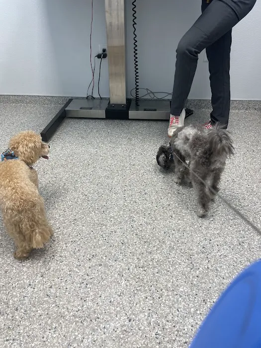 Summit Bridge Veterinary Hospital 12