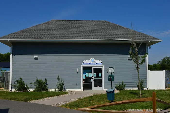 Summit Bridge Veterinary Hospital 12