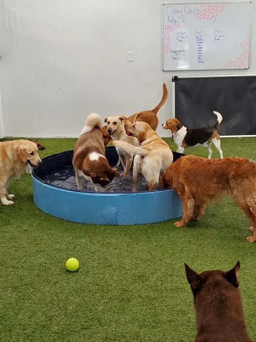 Summit Bridge Veterinary Hospital 12