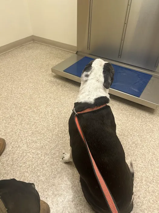Antietam Valley Animal Hospital 12