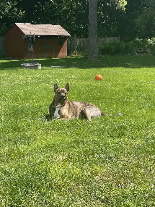 Antietam Valley Animal Hospital 12