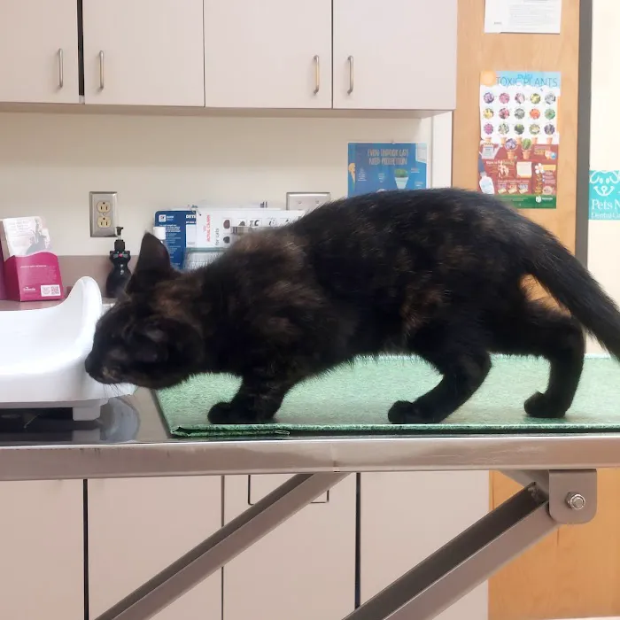 Antietam Valley Animal Hospital 12