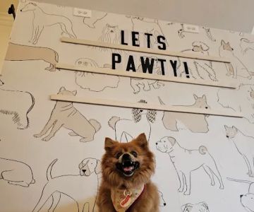 Woofboard