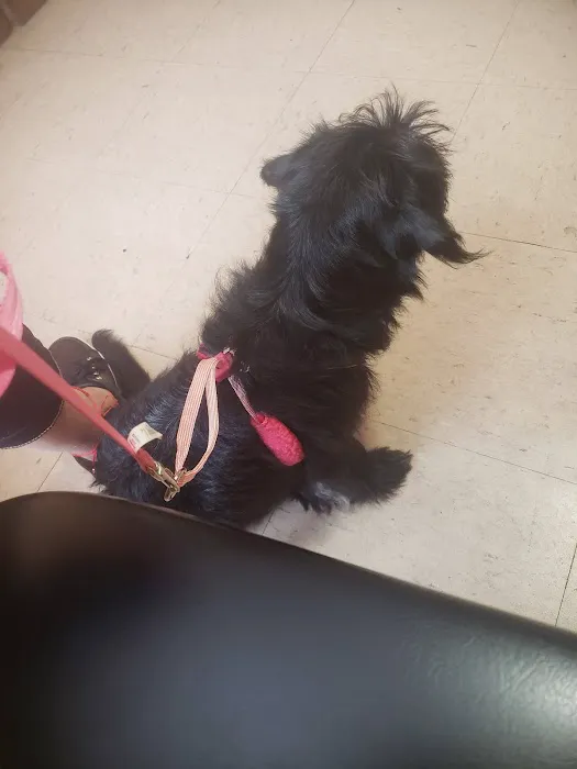 Animal Clinic of Reading 12