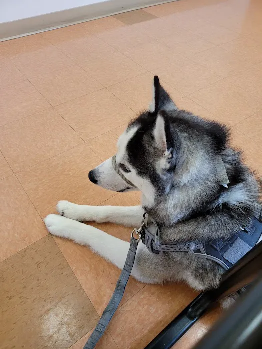 Humane Veterinary Hospitals - Reading 12
