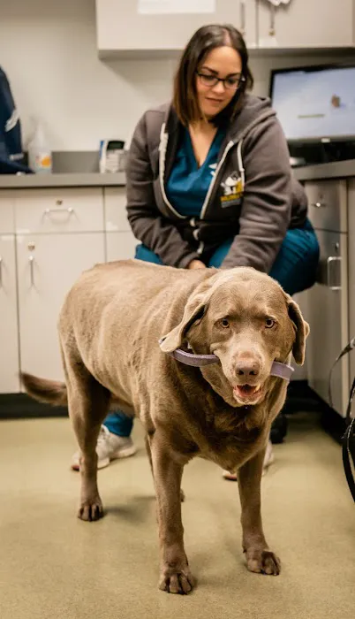 Humane Veterinary Hospitals - Reading 12