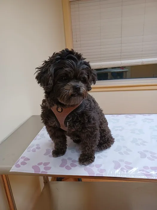 Humane Veterinary Hospitals - Reading 12