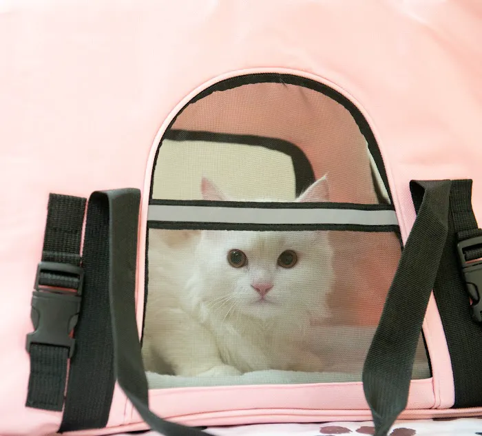 Humane Veterinary Hospitals - Reading 12