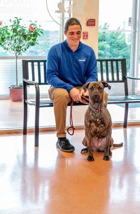 Humane Veterinary Hospitals - Reading 12