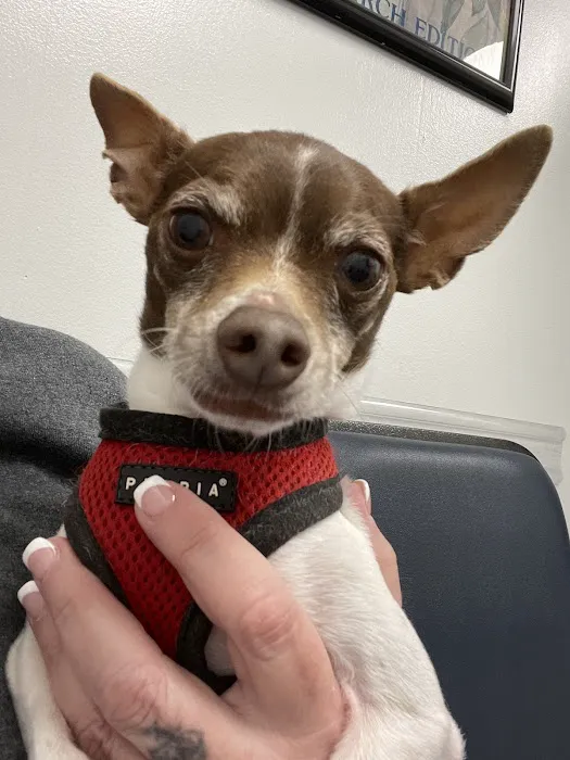 Parkway Veterinary Hospital 12