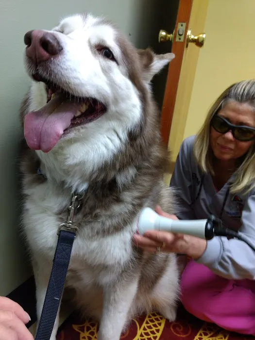 Beach Buddies Animal Hospital 12