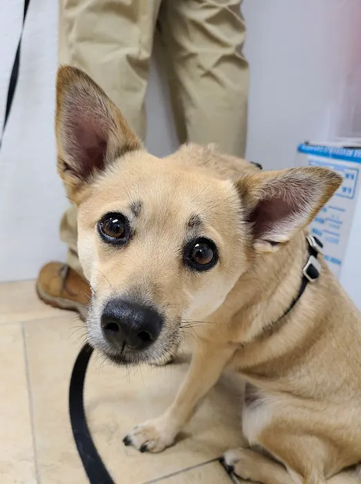 Beacon Veterinary Clinic 2