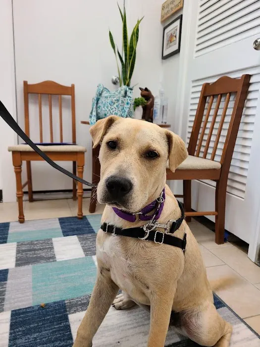 Beacon Veterinary Clinic 3