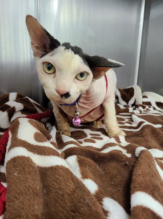 Beacon Veterinary Clinic 5