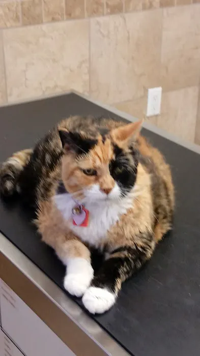 Ventnor Veterinary Office 1