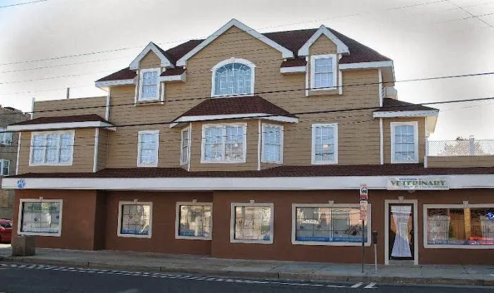 Ventnor Veterinary Office 8