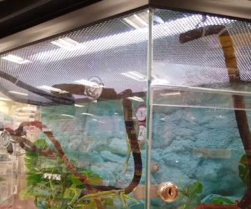 Petco