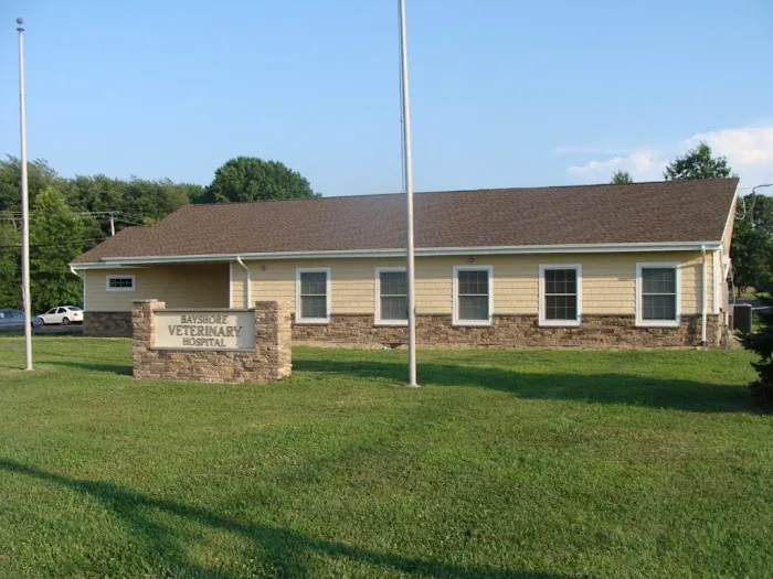 Bayshore Veterinary Hospital 12