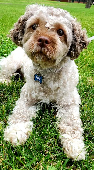 Banfield Pet Hospital 12
