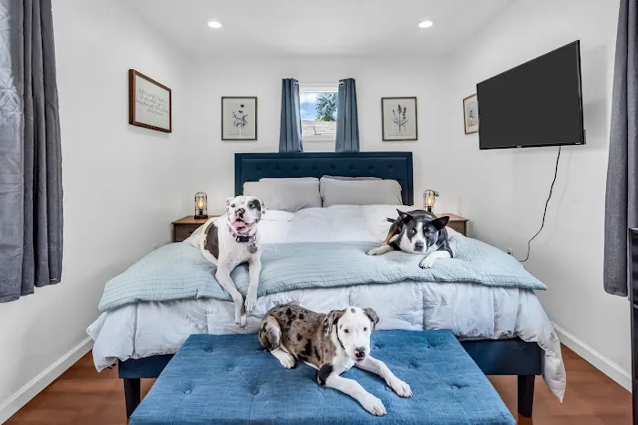 Banfield Pet Hospital 12