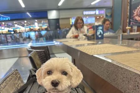 Banfield Pet Hospital