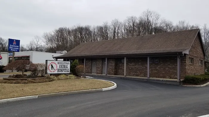 Middletown Animal Hospital 12