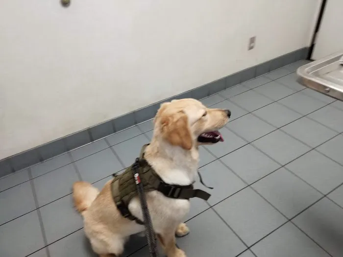 Middletown Animal Hospital 12