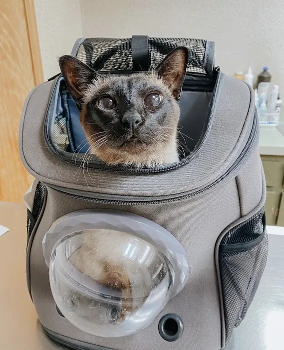 Small Animal Veterinary Associates 12