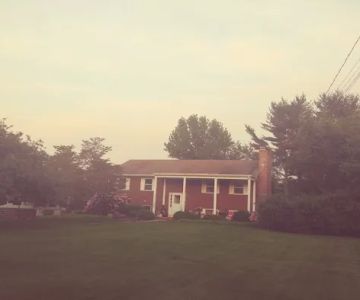 Small Animal Veterinary Associates