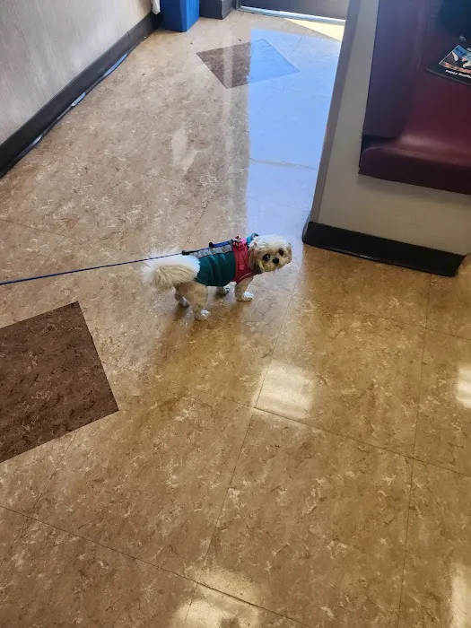 Cedars Veterinary Hospital 12