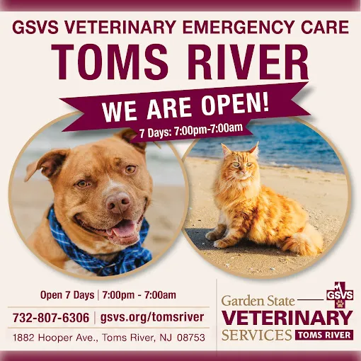 GSVS Veterinary Emergency Care Toms River 3