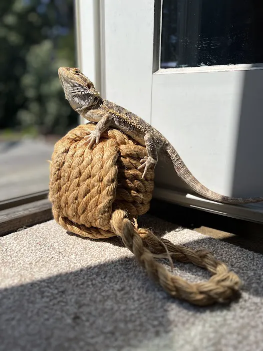 Nautilus Avian & Exotics Veterinary Specialists 12
