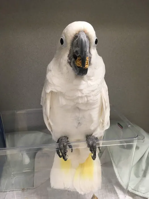 Nautilus Avian & Exotics Veterinary Specialists 12