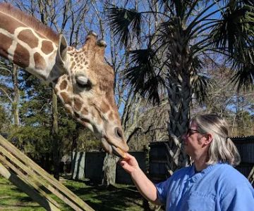 Nautilus Avian & Exotics Veterinary Specialists