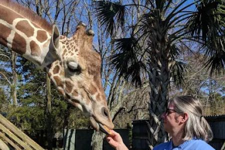 Nautilus Avian & Exotics Veterinary Specialists