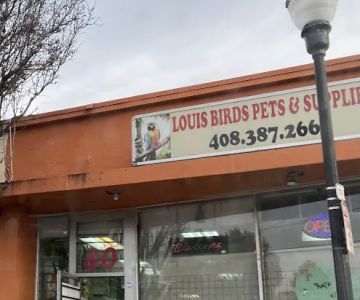 Louis Birds Pets & Supplies