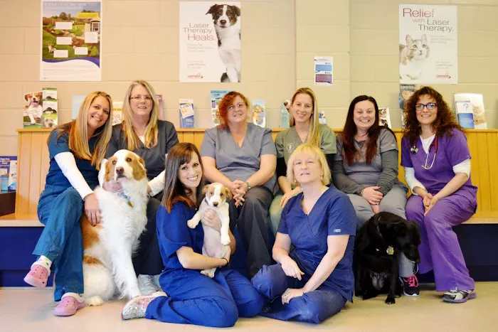 Laurelton Veterinary Hospital 12