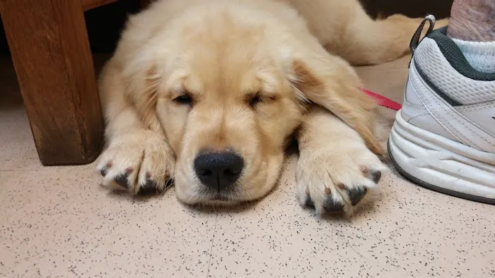 Laurelton Veterinary Hospital 12