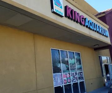 King Aquarium