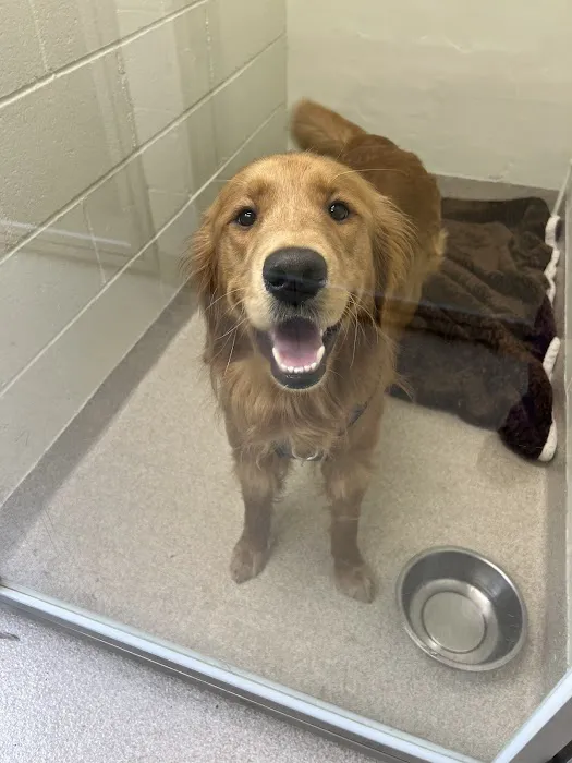 Toms River Animal Hospital 1
