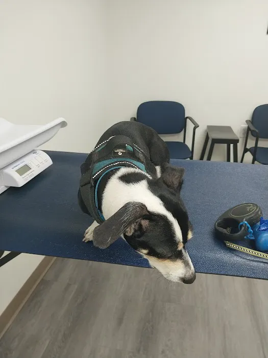 Toms River Animal Hospital 9
