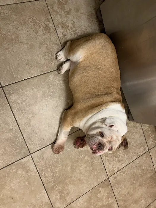 Toms River Animal Hospital 4